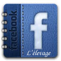 L'Ã©levage sur Facebook