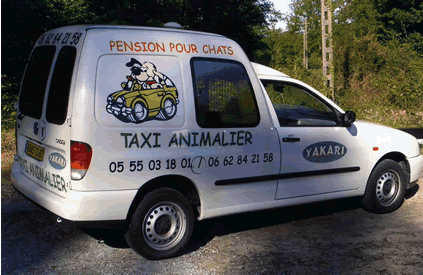 Taxi animalier Ambulance pour animaux